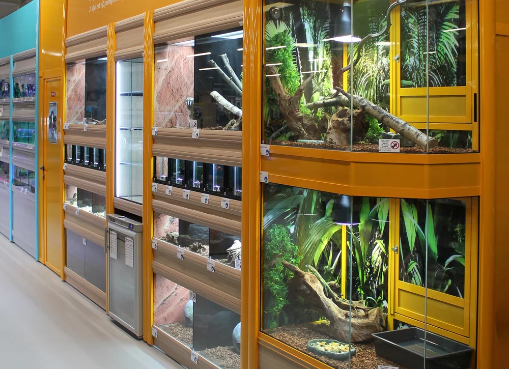 Reptile display rack on sale