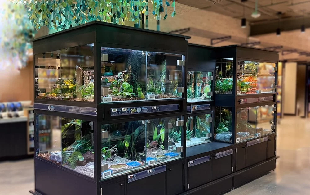 Petco fish store clearance