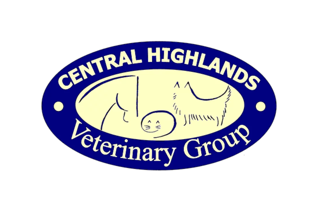 Highlands veterinary hot sale