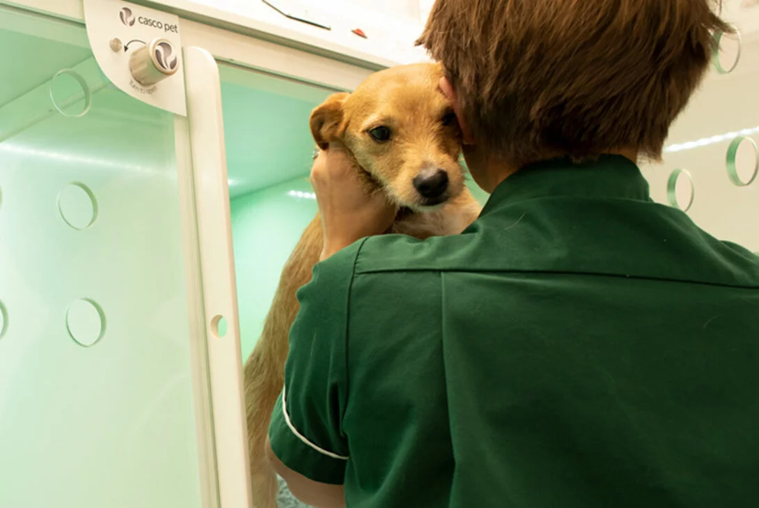 Hawthorn sales veterinary clinic