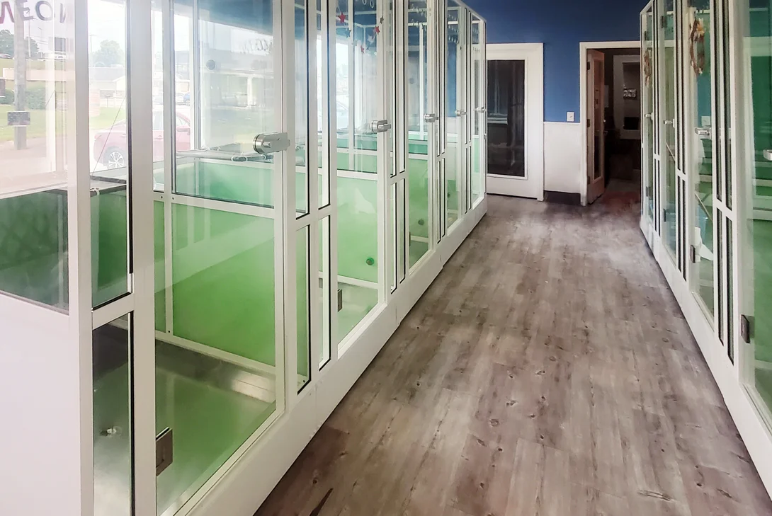 Help For Animals | Casco Pet - US