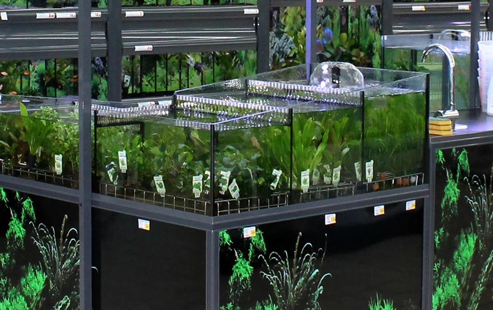 Cascade Plant Display Casco Pet US