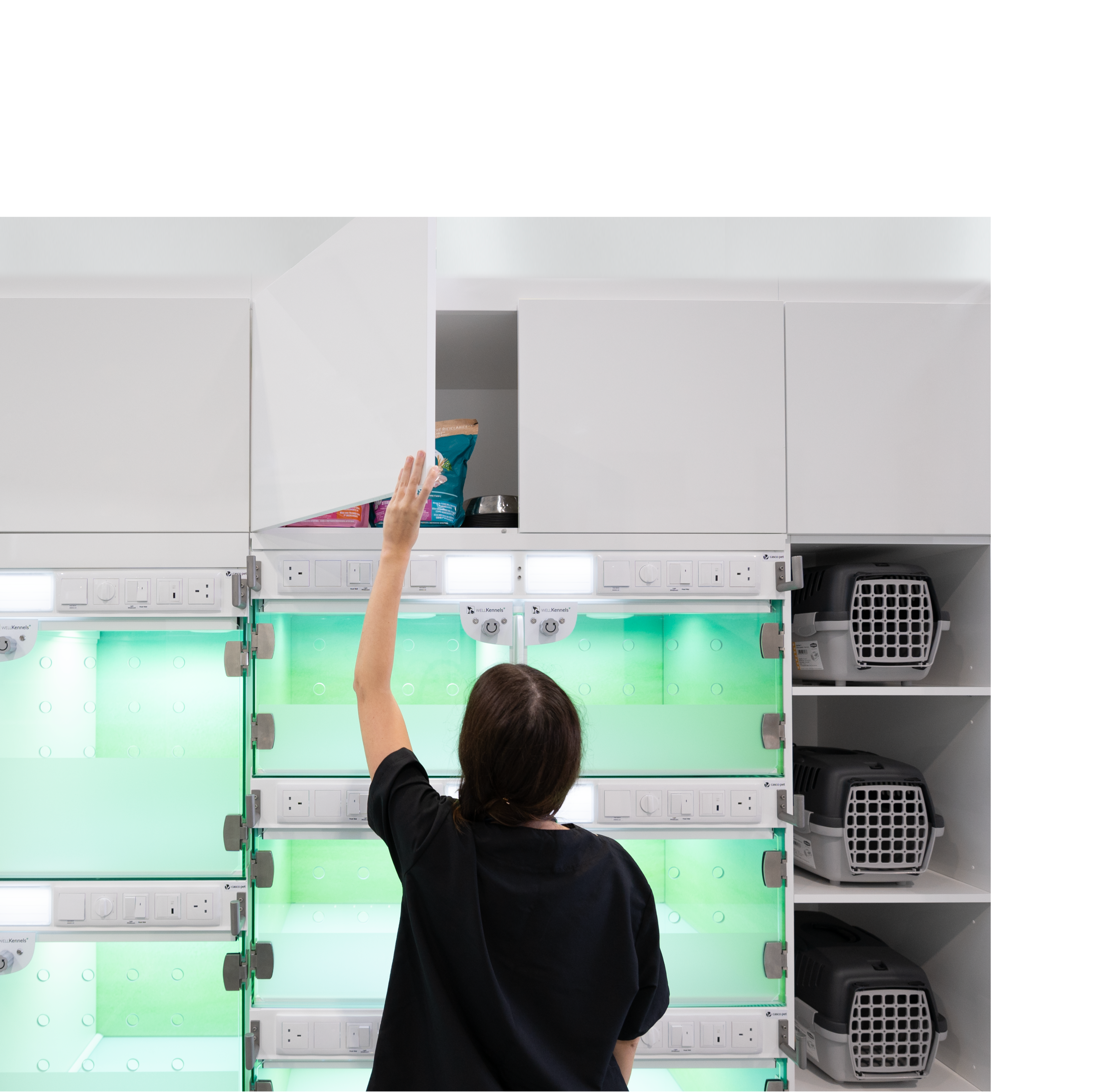 Cabinetry & Storage for Pet Retail and Veterinary | Casco Pet - UK